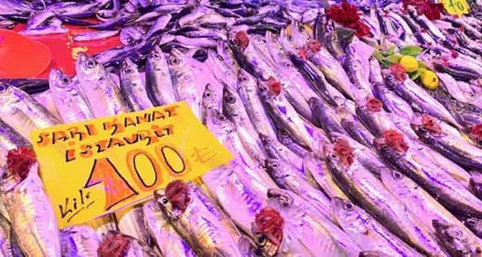 Eskişehir’de sıcaklıklar arttı, balık fiyatları da el yakacak