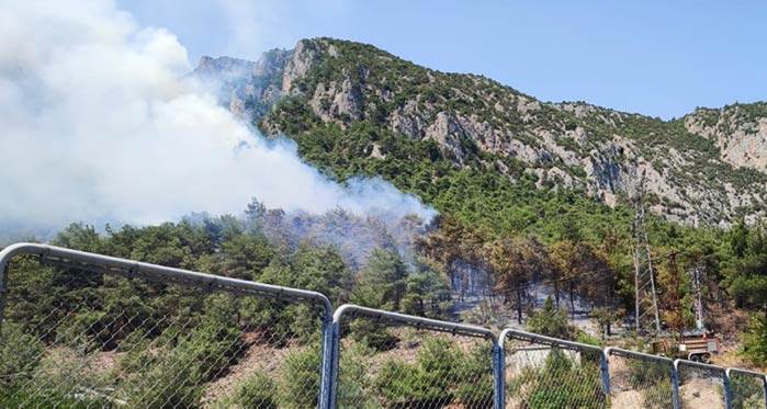 Eskişehir'den sonra şimdi de Bilecik'te orman yangını!