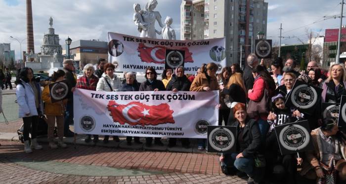 Eskişehir hayvan hakları savunucularından barınak çağrısı Eskişehir hayvan hakları savunucularından barınak çağrısı