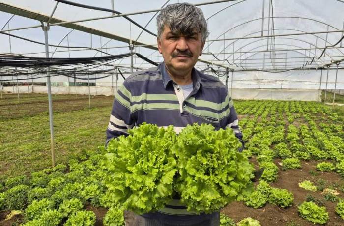 Eskişehirliler tarladaki fiyatını duyunca çok şaşıracak Eskişehirliler tarladaki fiyatını duyunca çok şaşıracak