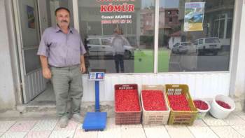 Hisarcık’Ta Kızılcık Üretimi Arttı Fiyatlar 15 Tl’Ye Düştü
