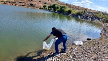 İhsaniye’De Baraj Ve Göletlere 25 Bin Yavru Balık Bırakıldı
