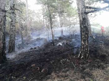 Kütahya’Da Orman Yangını Kontrol Altına Alındı
