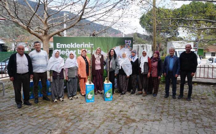 Sarıcakaya’da 600 dut fidanı üreticilere dağıtıldı Sarıcakaya’da 600 dut fidanı üreticilere dağıtıldı