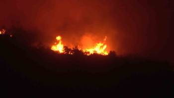 Yenişehir’De Kontrol Altına Alınan Yangın Rüzgarın Etkisiyle Tekrar Başladı
