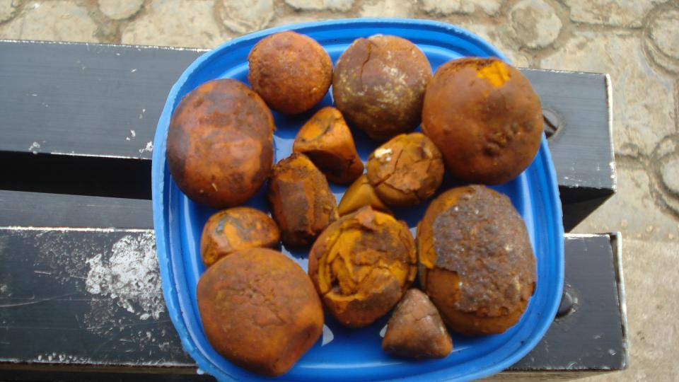 Cow Gallstones