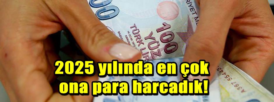 2025 yılında en çok ona para harcadık!