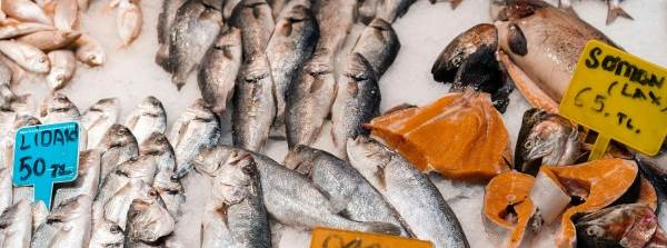 2026 Balık Av Yasağı Tarihi Açıklandı! 5 Ay Sürecek Yasak Ne Zaman Başlıyor, Ne Zaman Bitiyor?