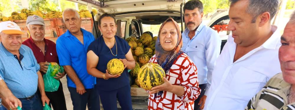 Afyonkarahisar’da susuz yetişiyor, bal gibi t…