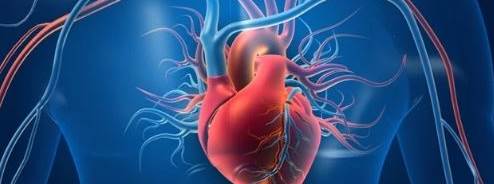 Ağızdaki eksik dişler kalbi vuruyor! Uzmanlar…