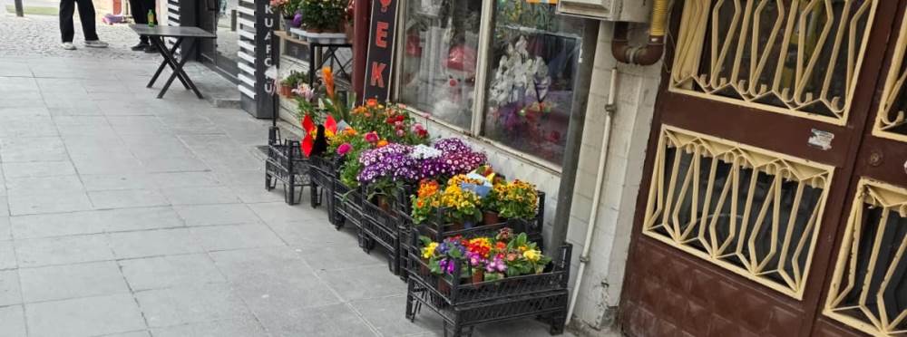 Baharın gelişi Eskişehir’de caddeyi çiçeklerl…