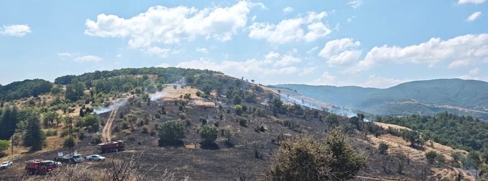 Bilecik'te 15 hektarlık orman yangını kontrol…