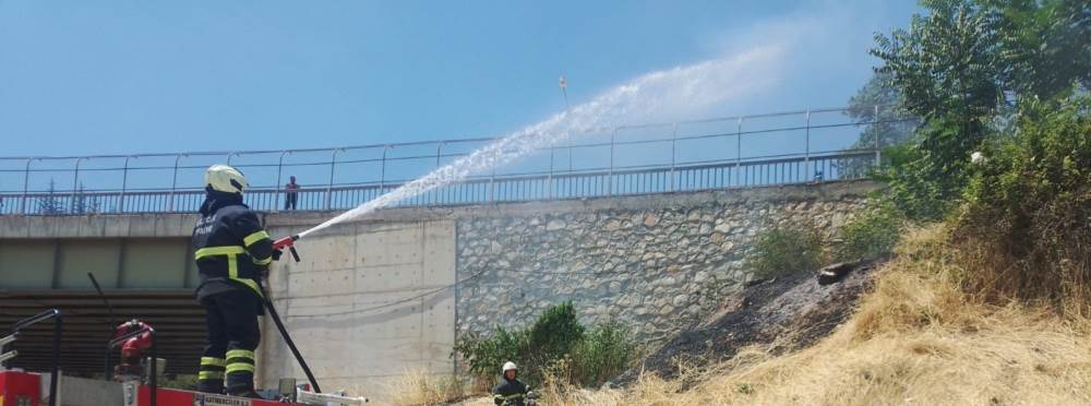 Bilecik'te alevler büyümeden kontrol altına a…