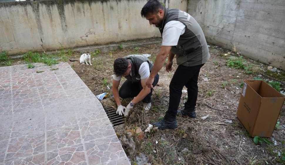 Bilecik’te mazgala sıkışan kedi yavruları kurtarıldı