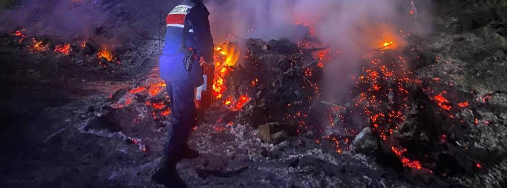 Bilecik’te otluk alanda çıkan yangın korkuttu