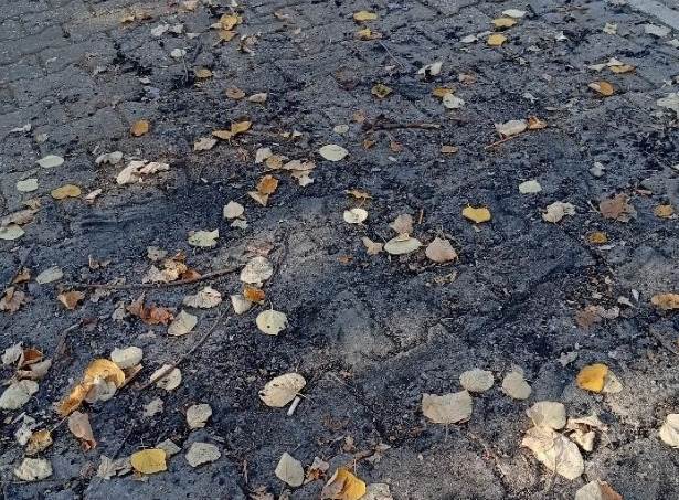Bilecik’te parkın hali tepki çekti: “Her yeri…