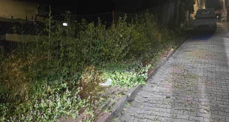 Bilecik'te TOKİ bölgesinde kaldırımlar bakıms…