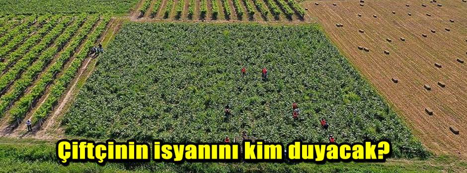Çiftçinin isyanını kim duyacak?