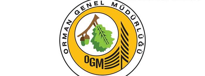Danışmanlık Hizmet alımı işi