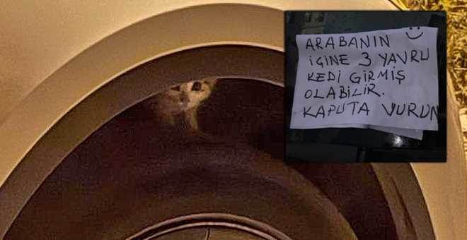 Eskişehir’de “araçta 3 kedi var” notu seferbe…