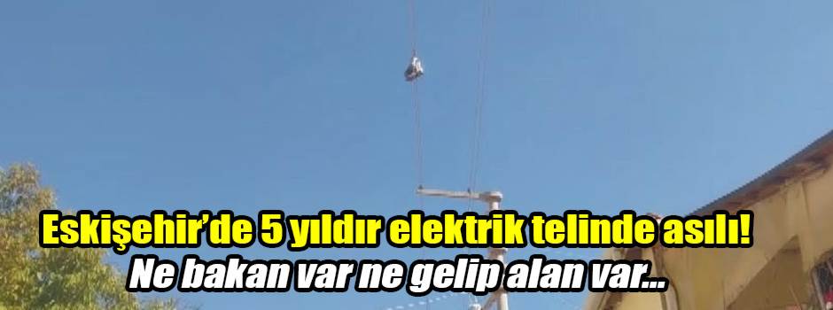 Eskişehir’de 5 yıldır elektrik telinde asılı! Ne bakan var ne gelip alan var...