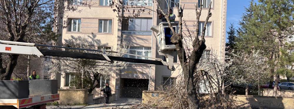 Eskişehir’de bahar mesaisi: Budama çalışmalar…