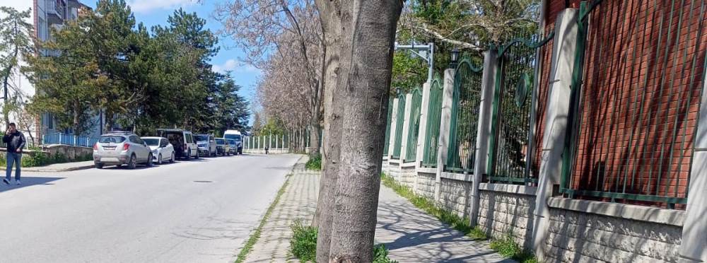 Eskişehir'de bakımsız görüntü dikkat çekti