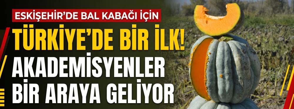 Eskişehir’de bal kabağı için Türkiye’de bir ilk! Akademisyenler bir araya geliyor