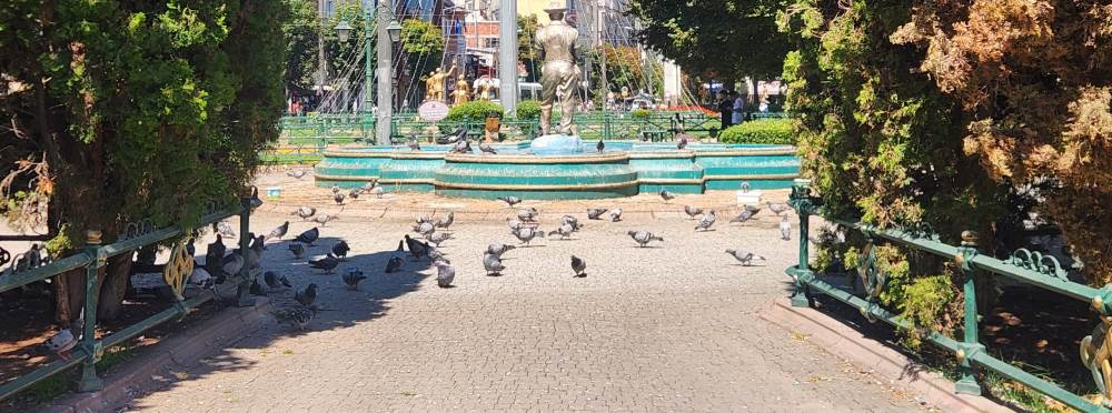 Eskişehir'de cami önünde güvercin yoğunluğu o…