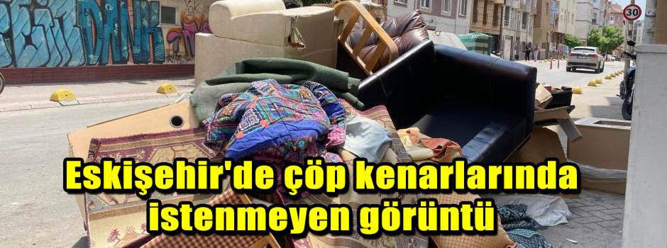 Eskişehir'de çöp kenarlarında istenmeyen görüntü