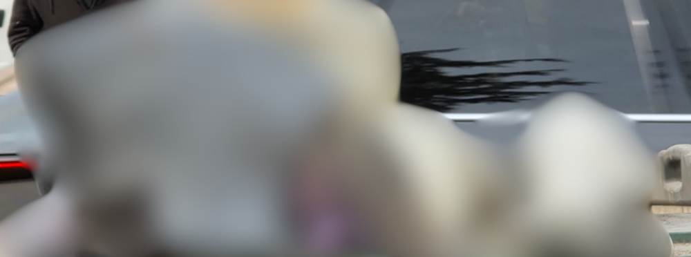 Eskişehir’de çöp konteynerinde ilginç manzara…