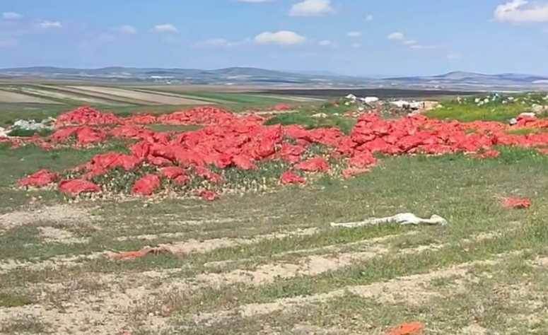 Eskişehir'de dikkat çeken iddia: Yüzlerce soğ…