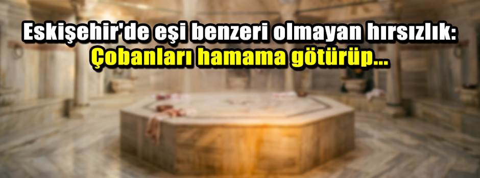 Eskişehir'de eşi benzeri olmayan hırsızlık: Ç…