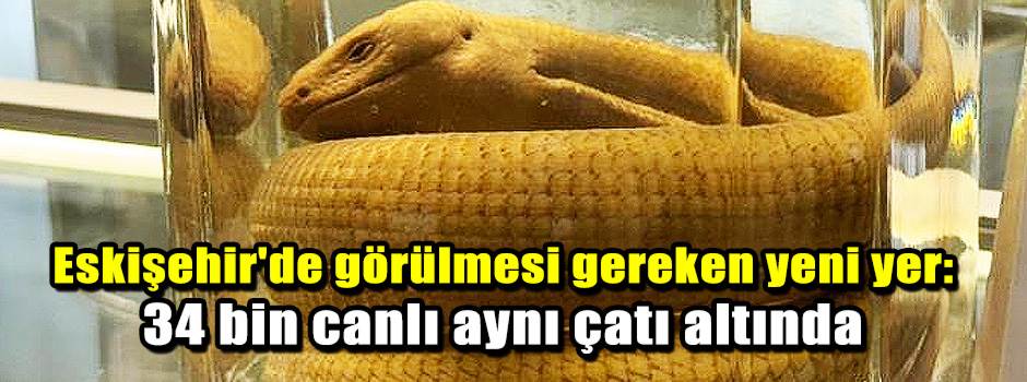 Eskişehir'de görülmesi gereken yeni yer: 34 b…