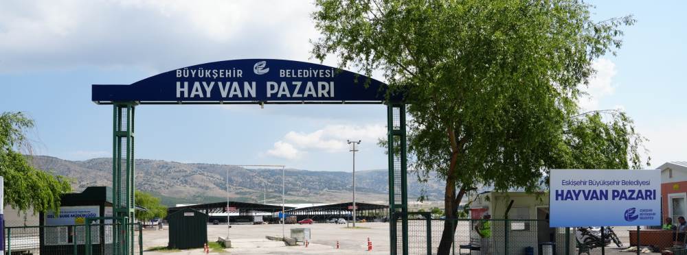 Eskişehir’de hayvan pazarı açılıyor: Yer fiya…