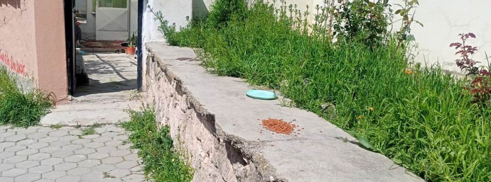 Eskişehir'de hayvanseverler sokak hayvanları …