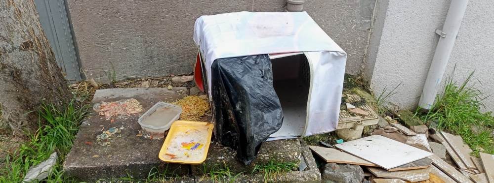 Eskişehir'de hem çevreyi hem hayvanları tehdi…