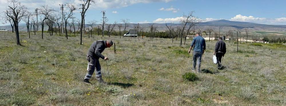 Eskişehir’de herkes bu mantarın peşinde: Kilo…