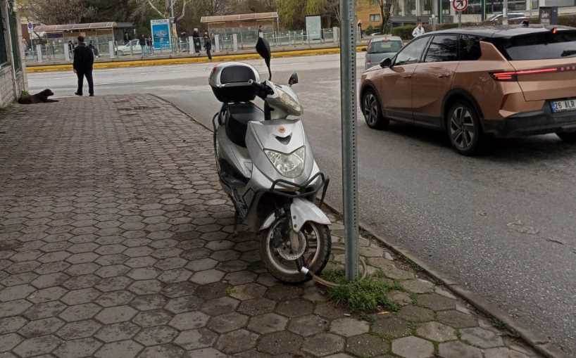 Eskişehir'de kaldırımda şaşırtan görüntü: Mot…