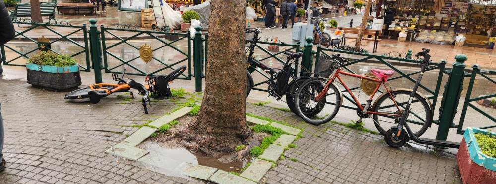 Eskişehir'de kaldırımlar işgal altında: Başıb…