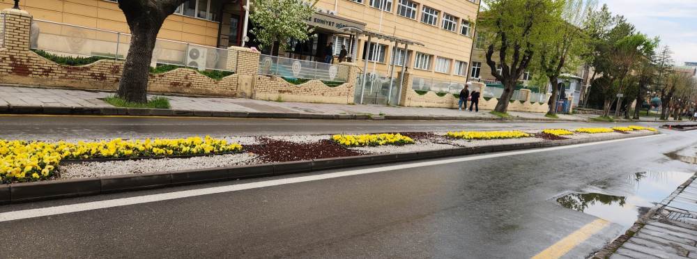 Eskişehir’de Kıbrıs Şehitleri Caddesi renkler…