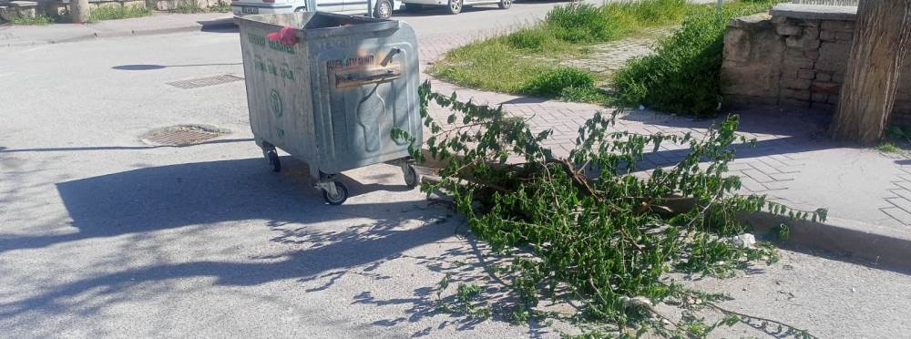 Eskişehir’de konteyner çevresinde dal yığını …