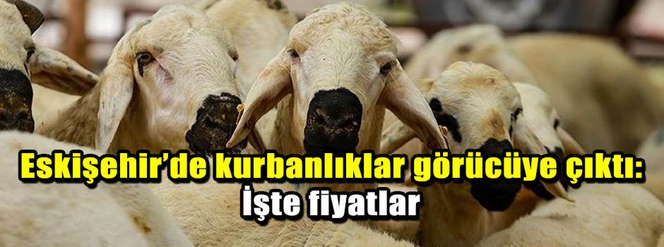 Eskişehir’de kurbanlıklar görücüye çıktı: İşt…