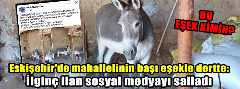 Eskişehir'de mahallelinin başı eşekle dertte: İlginç ilan sosyal medyayı salladı