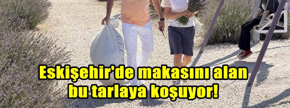 Eskişehir'de makasını alan bu tarlaya koşuyor!
