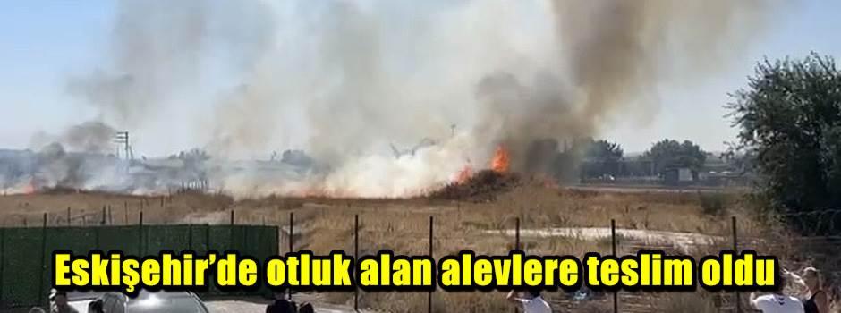 Eskişehir’de otluk alan alevlere teslim oldu