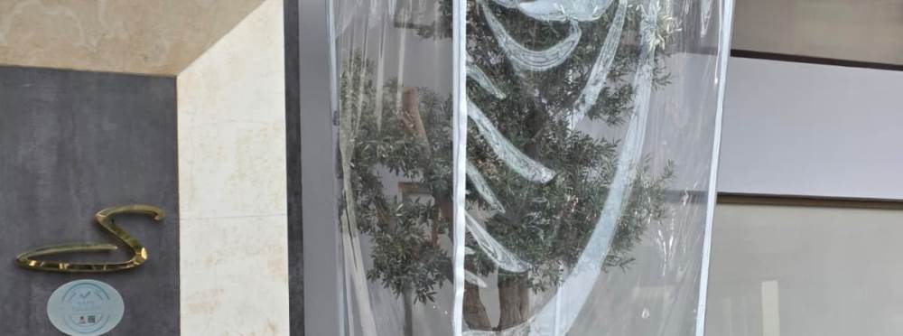 Eskişehir’de özel branda ile korunan ağaç dik…