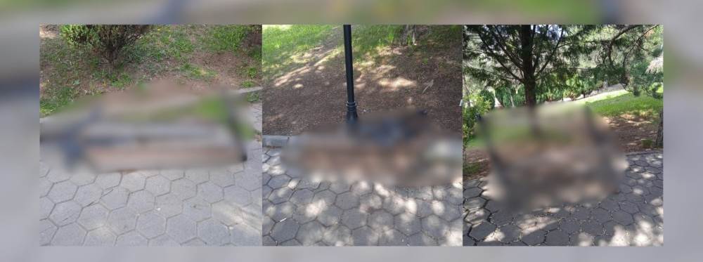 Eskişehir'de pes dedirten görüntü: Tepkiler b…