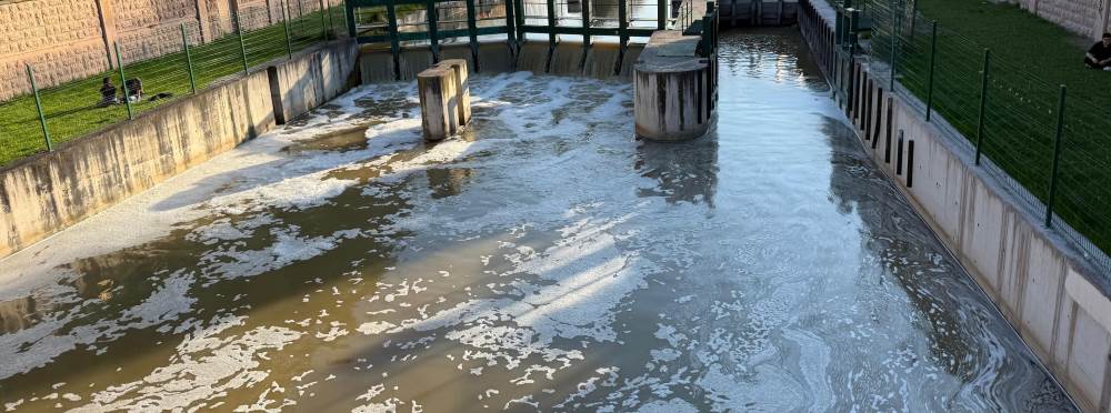 Eskişehir’de Porsuk Çayı'nda dikkat çeken gör…