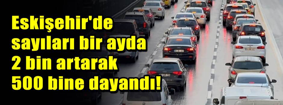Eskişehir'de sayıları bir ayda 2 bin artarak 500 bine dayandı!